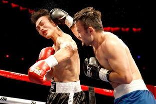 拳击迷麦考尔爆料视频,独家爆料视频曝光惊人真相 第1张 拳击迷麦考尔爆料视频,独家爆料视频曝光惊人真相 第1张